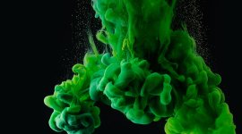 Fostering green business growth