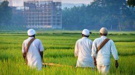 Knowledge sharing ILS and Labour exploitation in agriculture and constructions sector