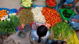 Strengthening ESC (Environmental, Social and Climate) standards in country strategies and development projects