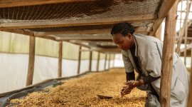 Improving working and health conditions in agriculture​