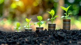 Strengthening the Financial Sustainability of Employers and Business Membership Organizations