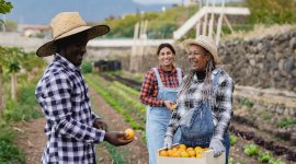 From Policy to Implementation – Advancing Social Standards for Inclusive Development