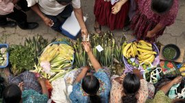 Women at work