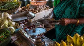 Fruit vendor at an outdoor market in India counts money