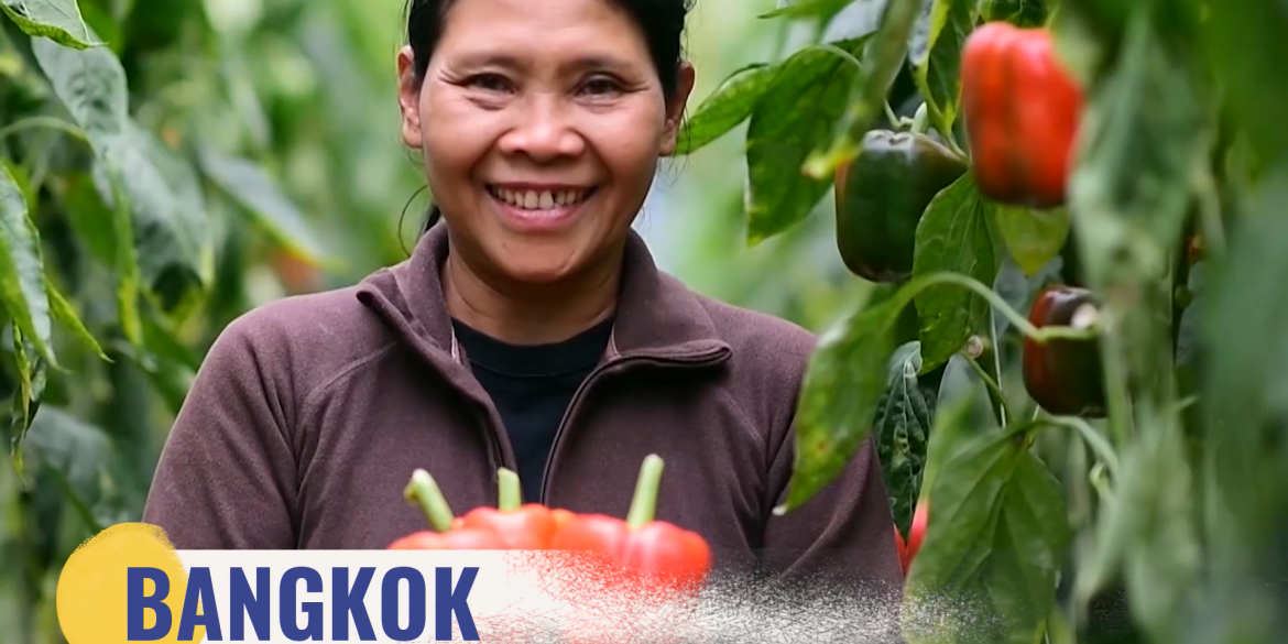 Farmer in Bangkok holding a red pepper