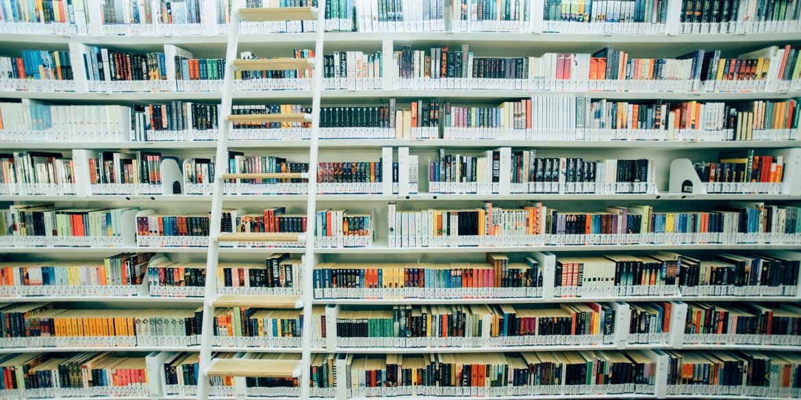 Library shelf with ladder