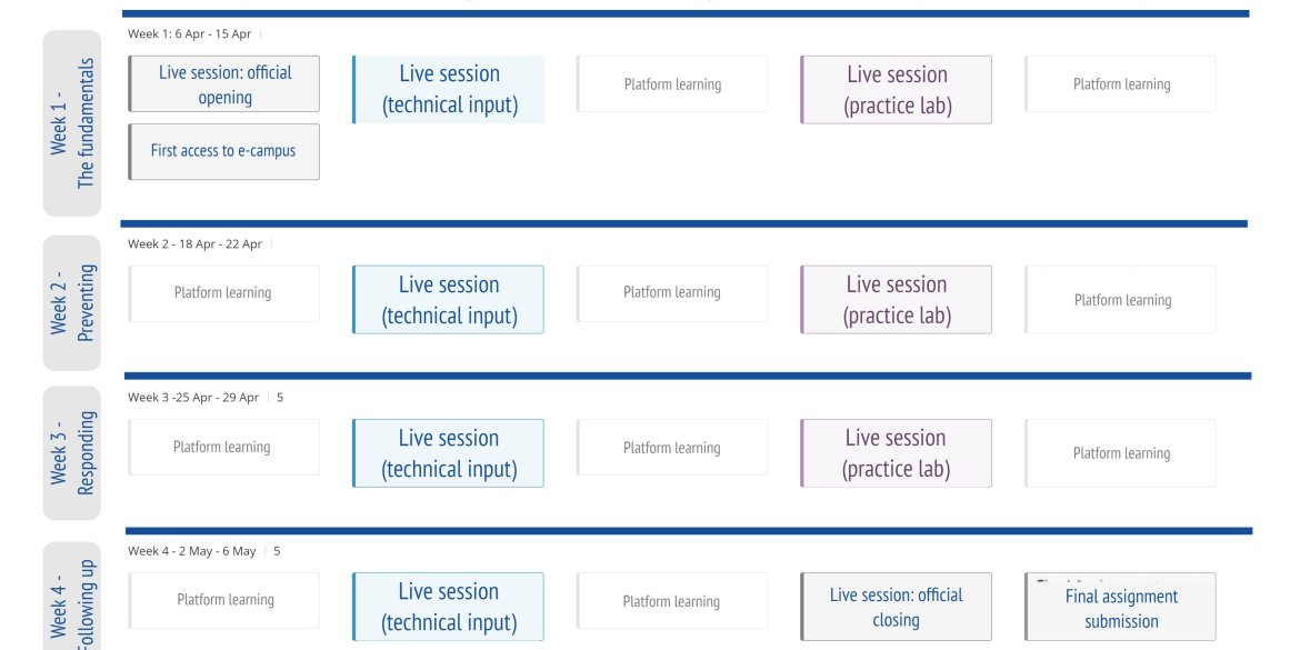 model schedule