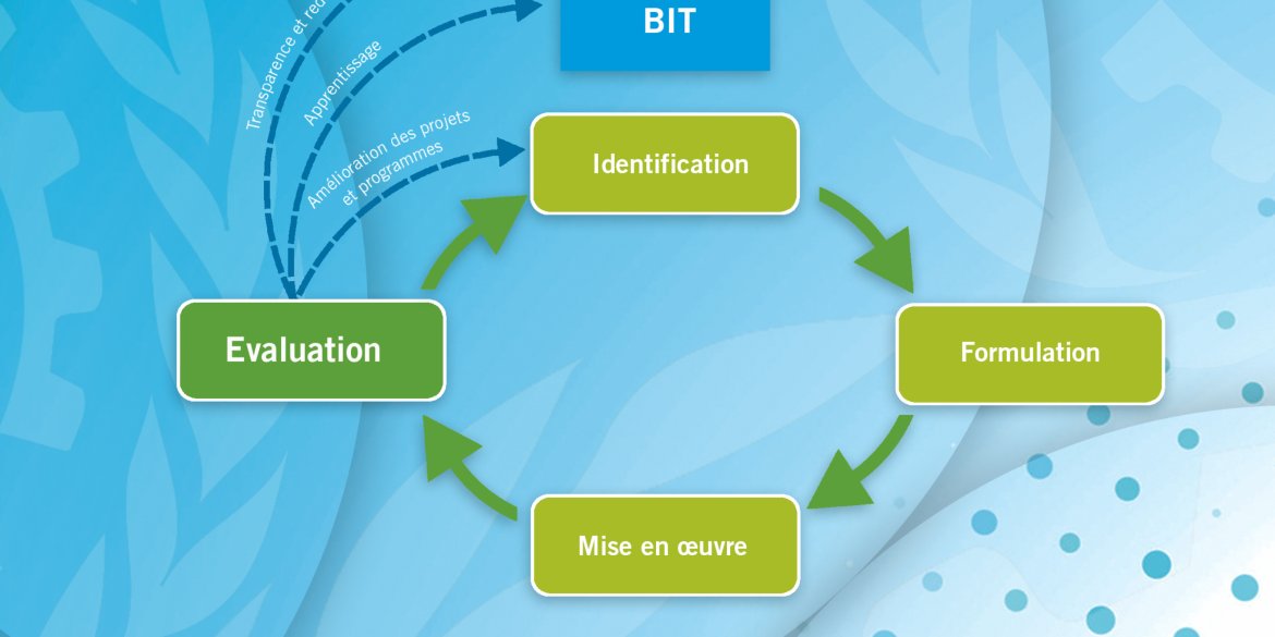 Evaluation Manager Certification Programme