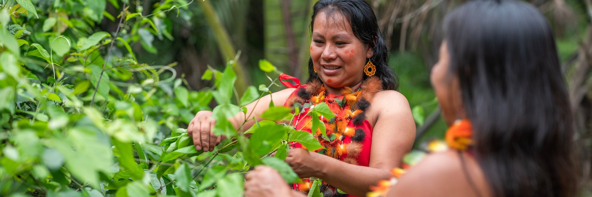 Massive open online course ON Social, Environmental, and Climate Standards - sustain 2 