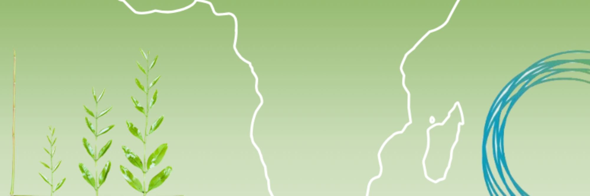 PAGE Regional Academy for Africa