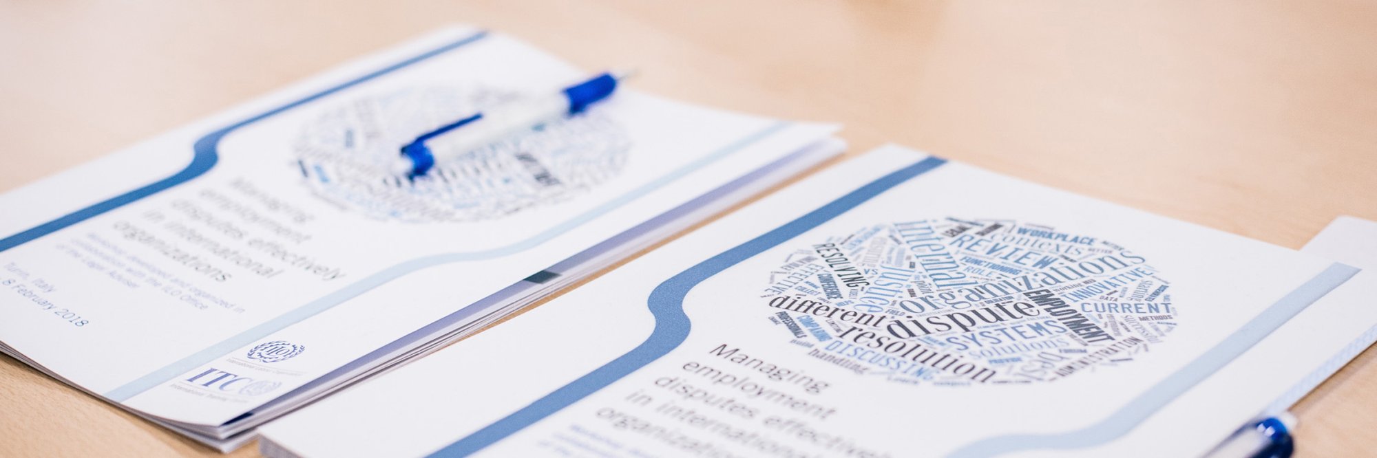 Managing employment disputes effectively in international organizations