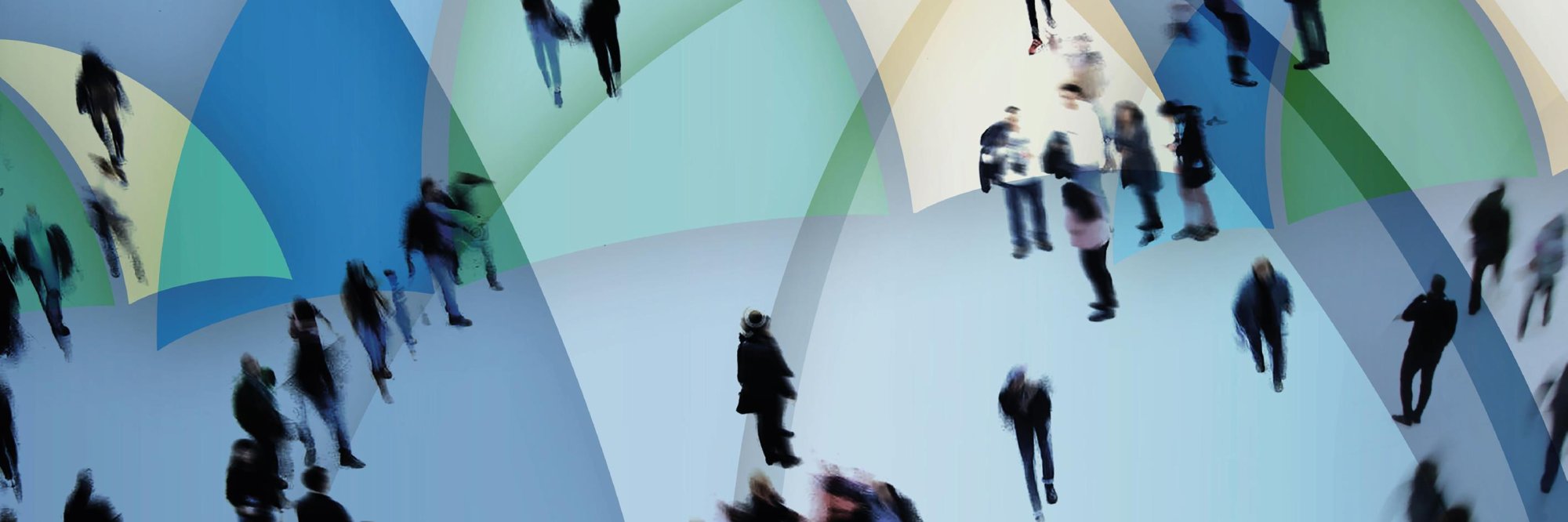 Impact Insurance Academy 