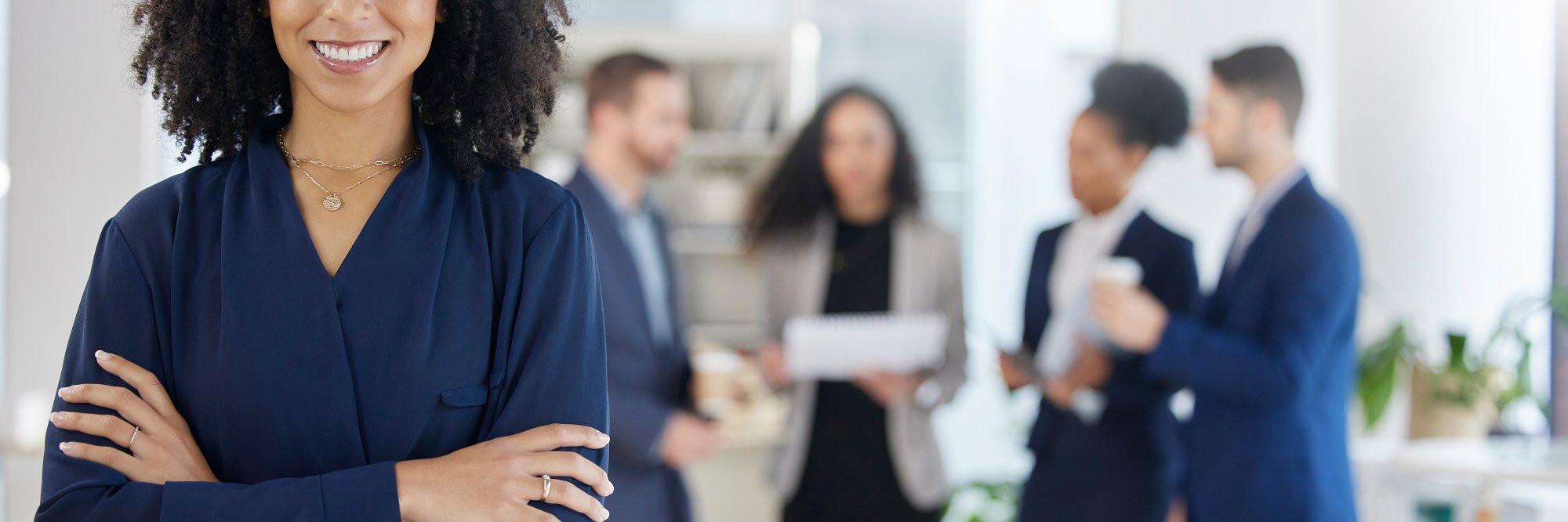 Skills for the global layer: Business contract drafting and Transactional Practice (Private M&A)