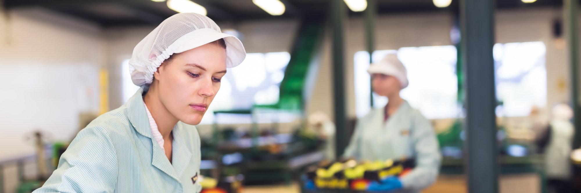 International labour standards and responsible business conduct