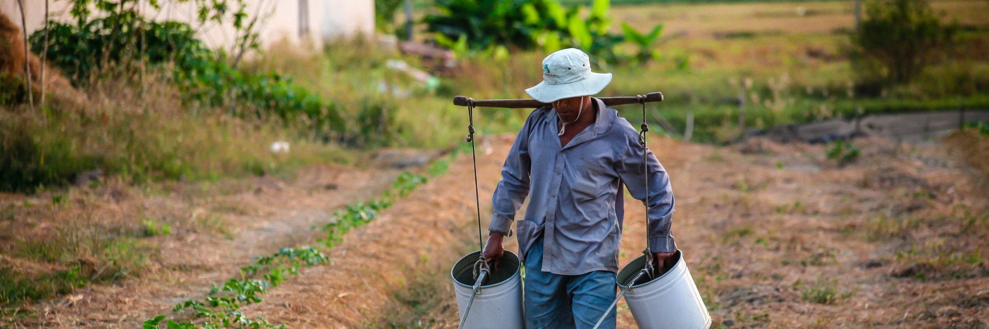 Management Course for Enterprise Support Organizations and BDS providers