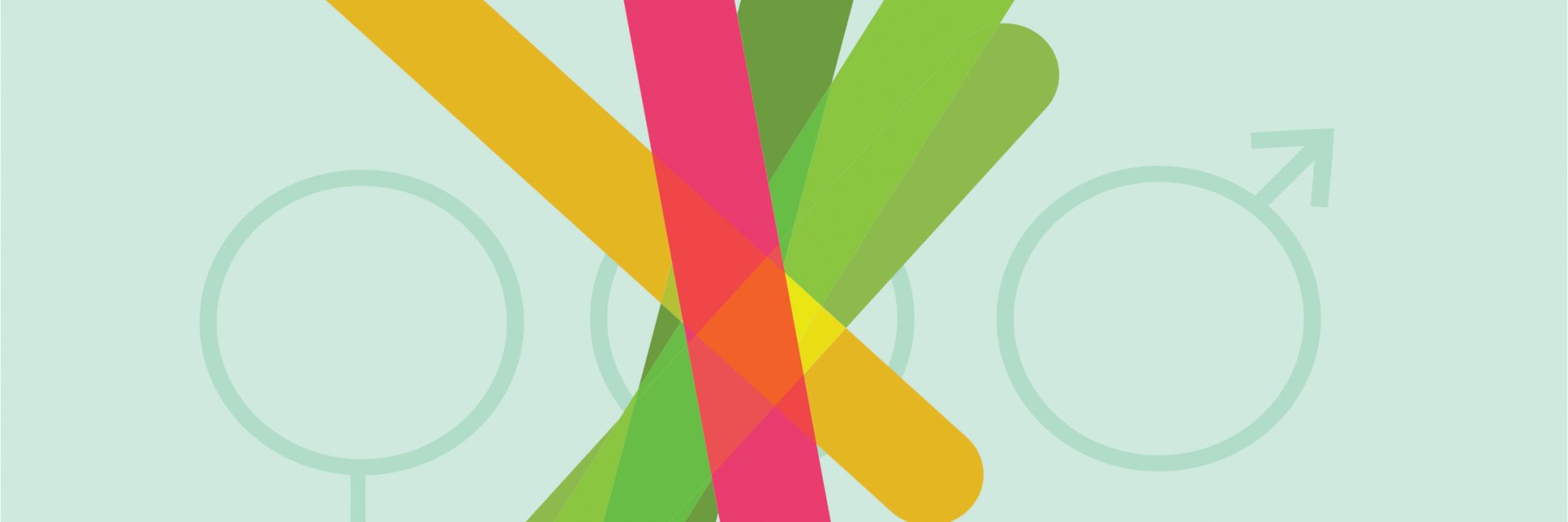 ILO Participatory Gender-audit Facilitator Certification