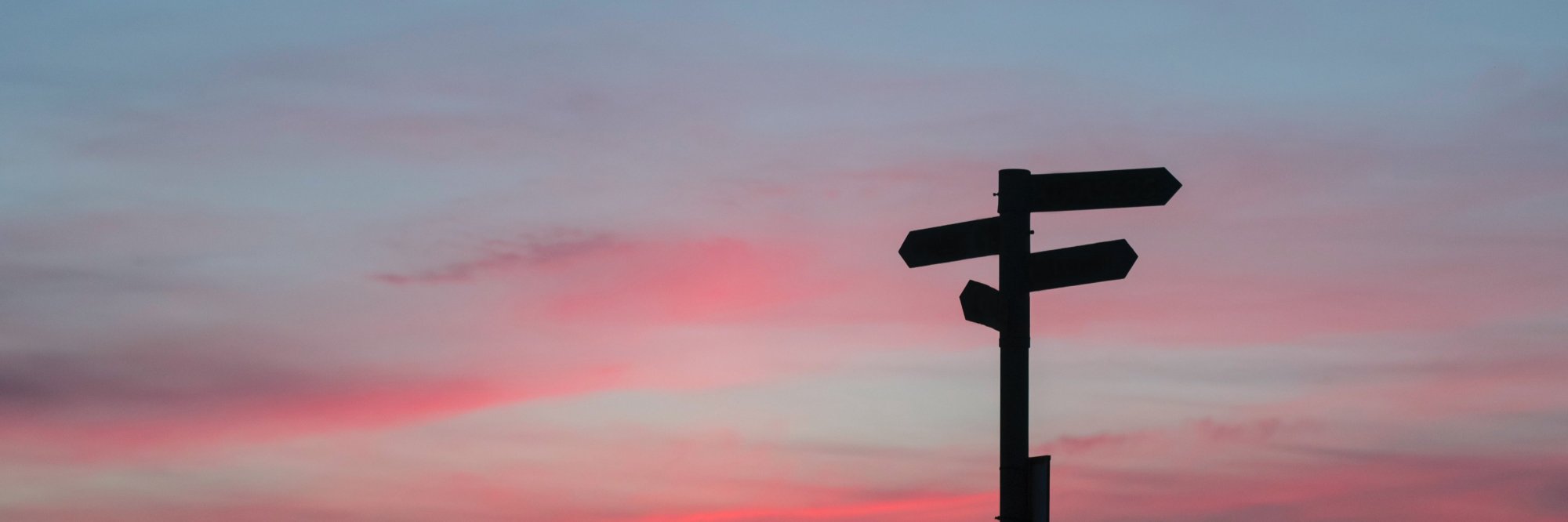 CAS 1 : Gouvernance des systèmes de développement des compétences