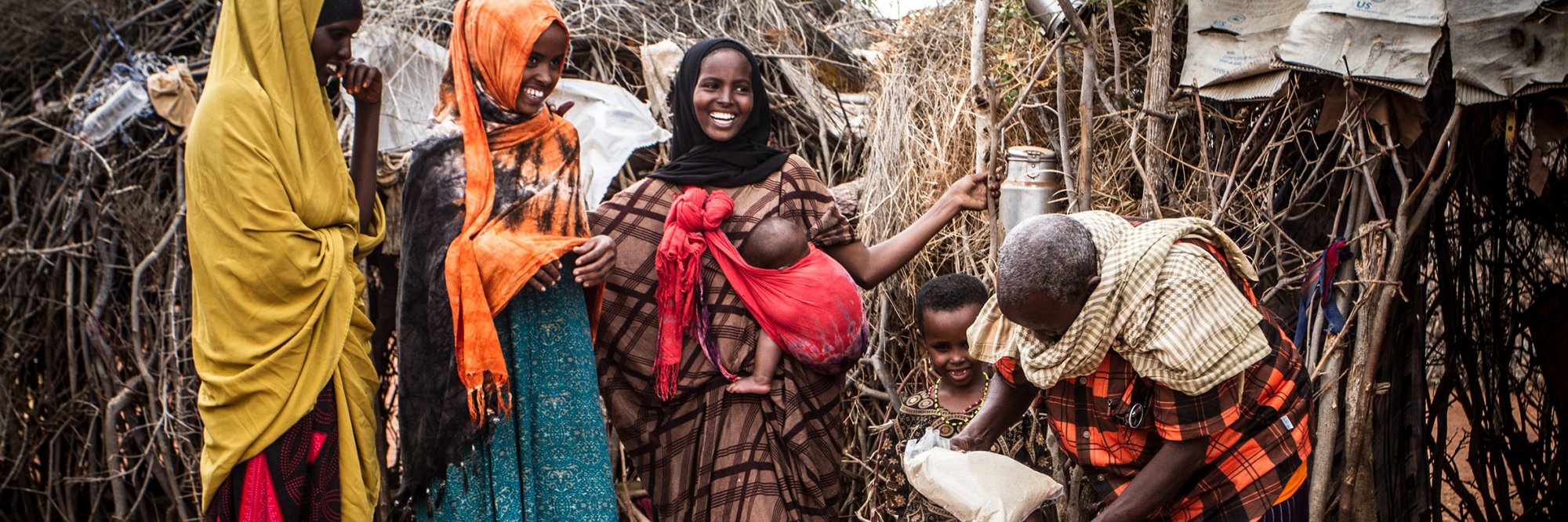 Market-based livelihood interventions for refugees and host communities - certification programme - analyst's learning path