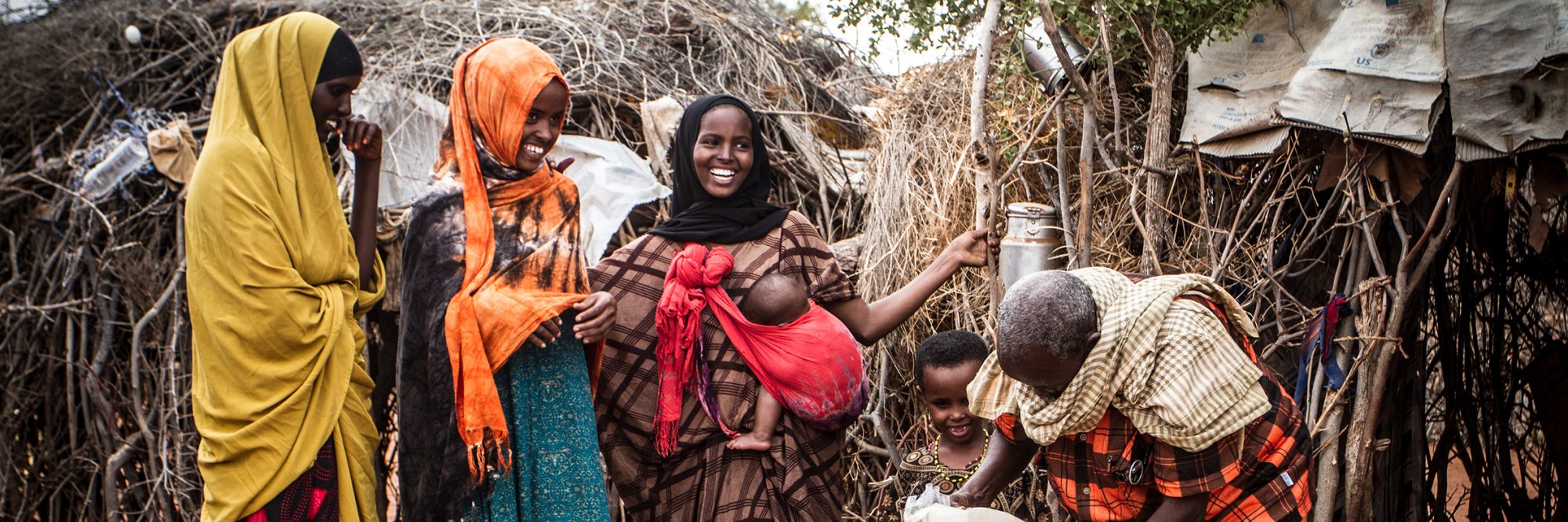 Market-based livelihood interventions for refugees and host communities - certification programme - analyst's learning path