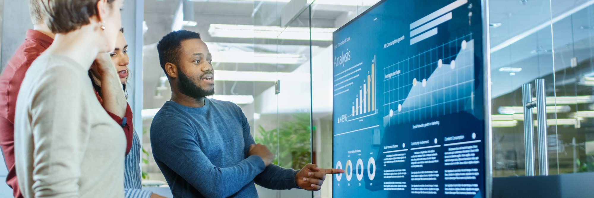 STATA for Labour Market Analysis