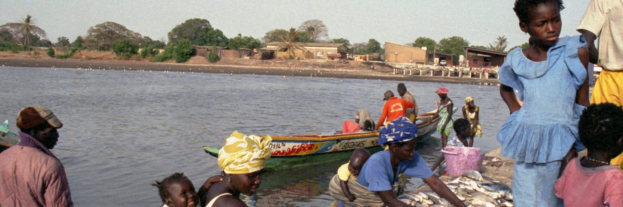 Sustainable and Inclusive Aquaculture Systems: Exploring Youth Opportunities in the Blue Economy