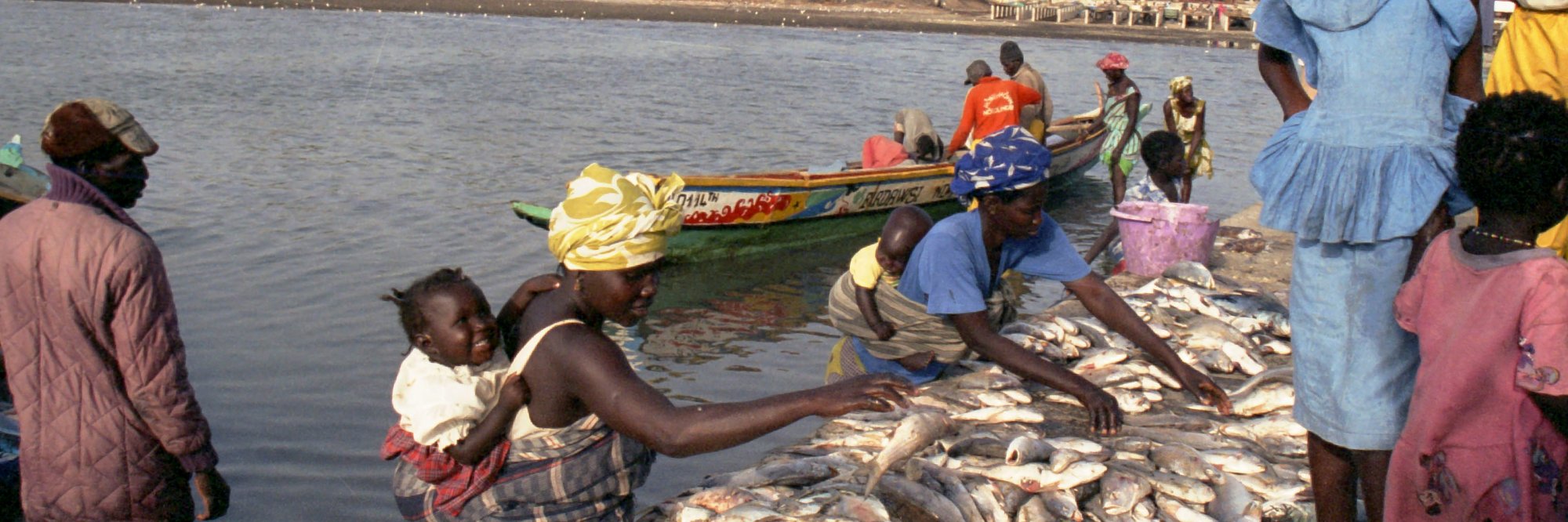 Sustainable and Inclusive Aquaculture Systems: Exploring Youth Opportunities in the Blue Economy