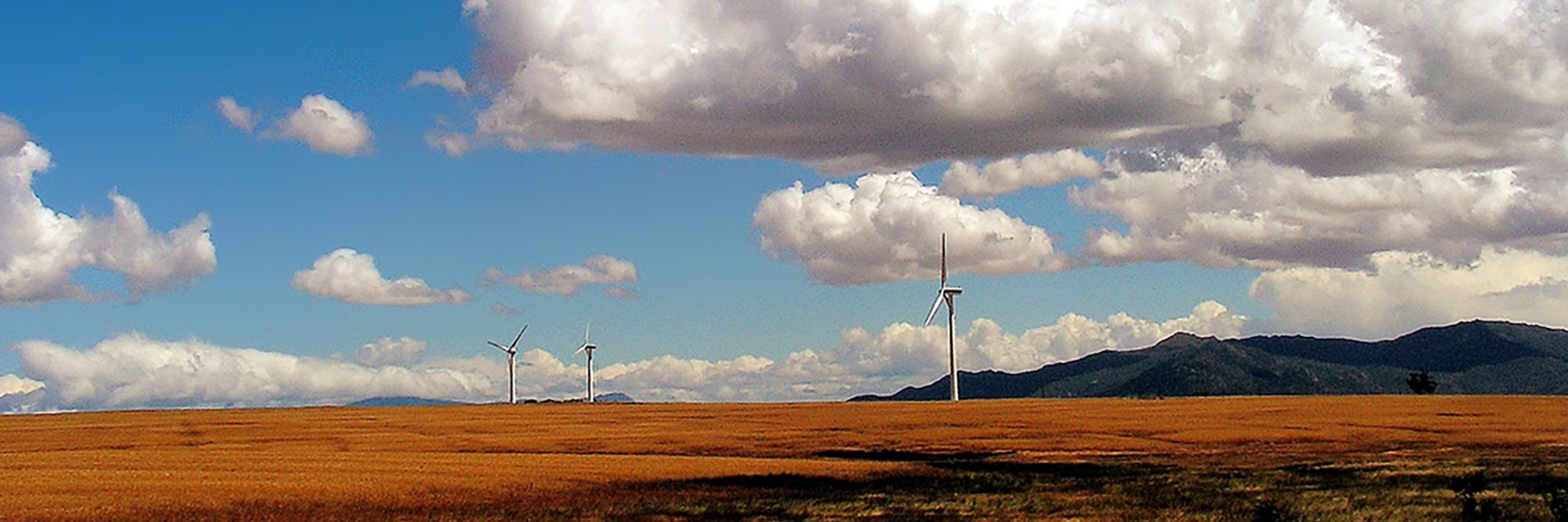 Certification Programme on Sustainable Public Procurement