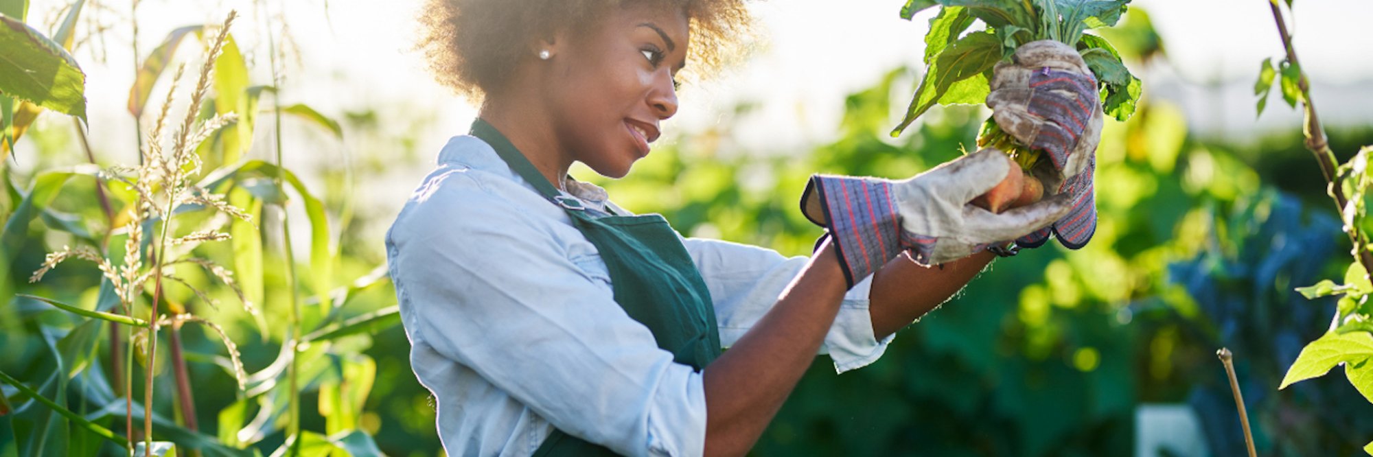 Financing development: navigating the landscape of financial instruments and mechanisms