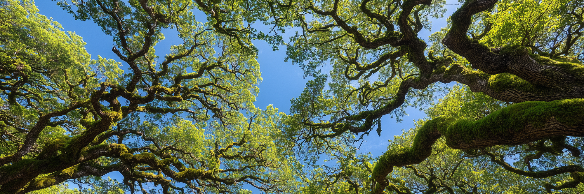 Fostering green business growth