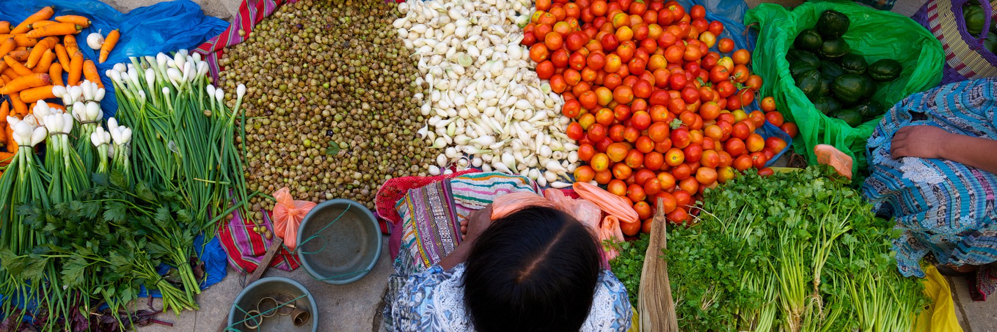 Strengthening ESC (Environmental, Social and Climate) standards in country strategies and development projects