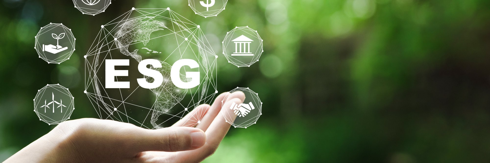 ESG Leadership essentials: empowering EBMOs