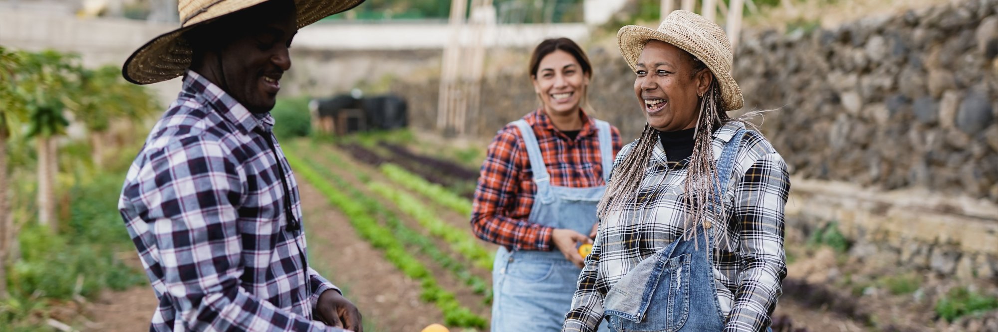 From Policy to Implementation – Advancing Social Standards for Inclusive Development