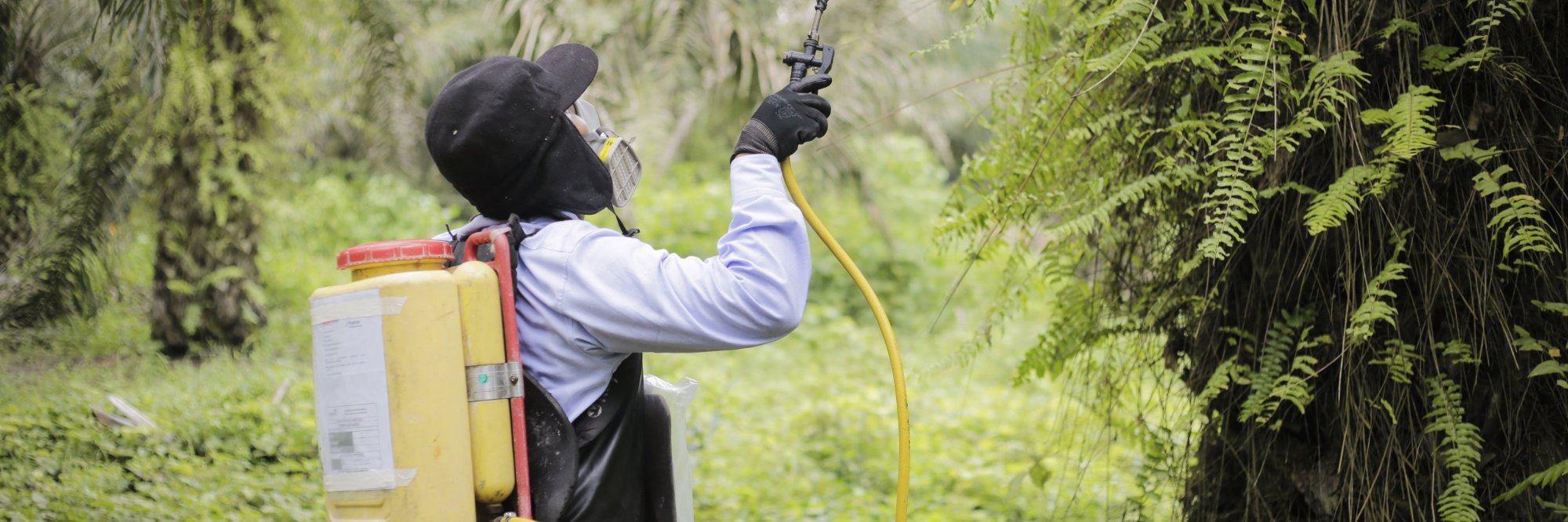 MANAGEMENT OF THE CHEMICAL RISK IN THE AGRICULTURAL SECTOR