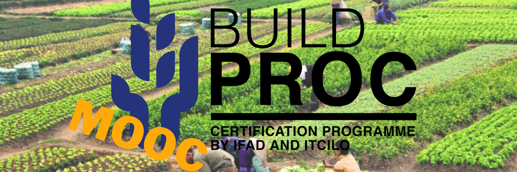 BuildProc