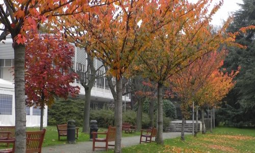 autumn campus