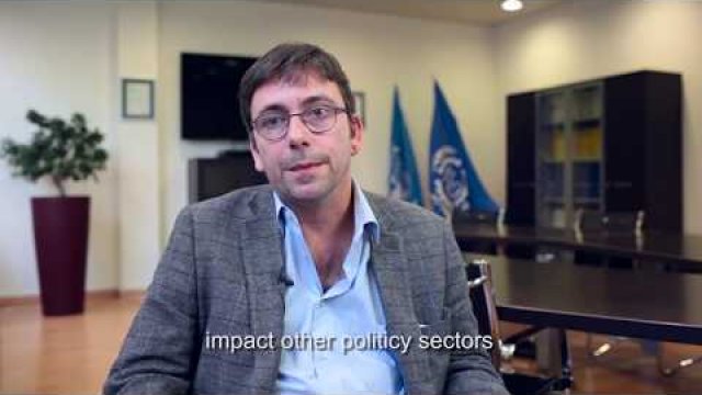 Preview image for the video "Mainstreaming Migration into Policy Development - Olivier Ferrari".