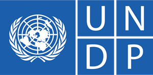 undp logo