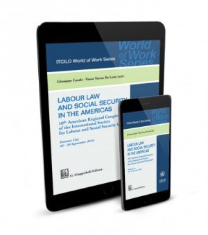  Labour law and social security in the Americas