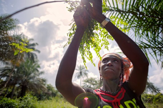 woman working in agriculture