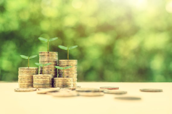 Financial Sustainability  