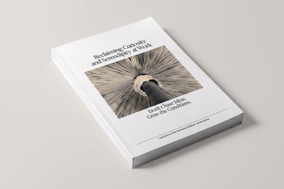 mockup of open publication