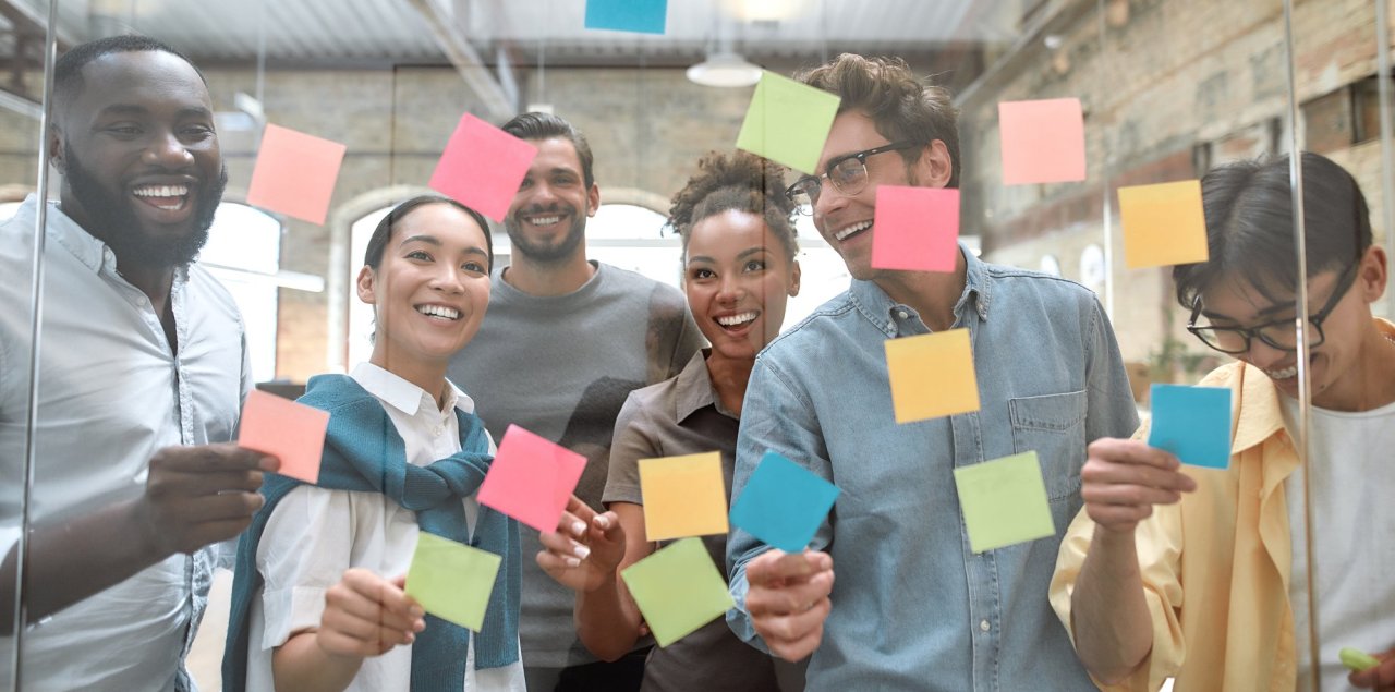 Programme de développement organisationnel et des services aux projets