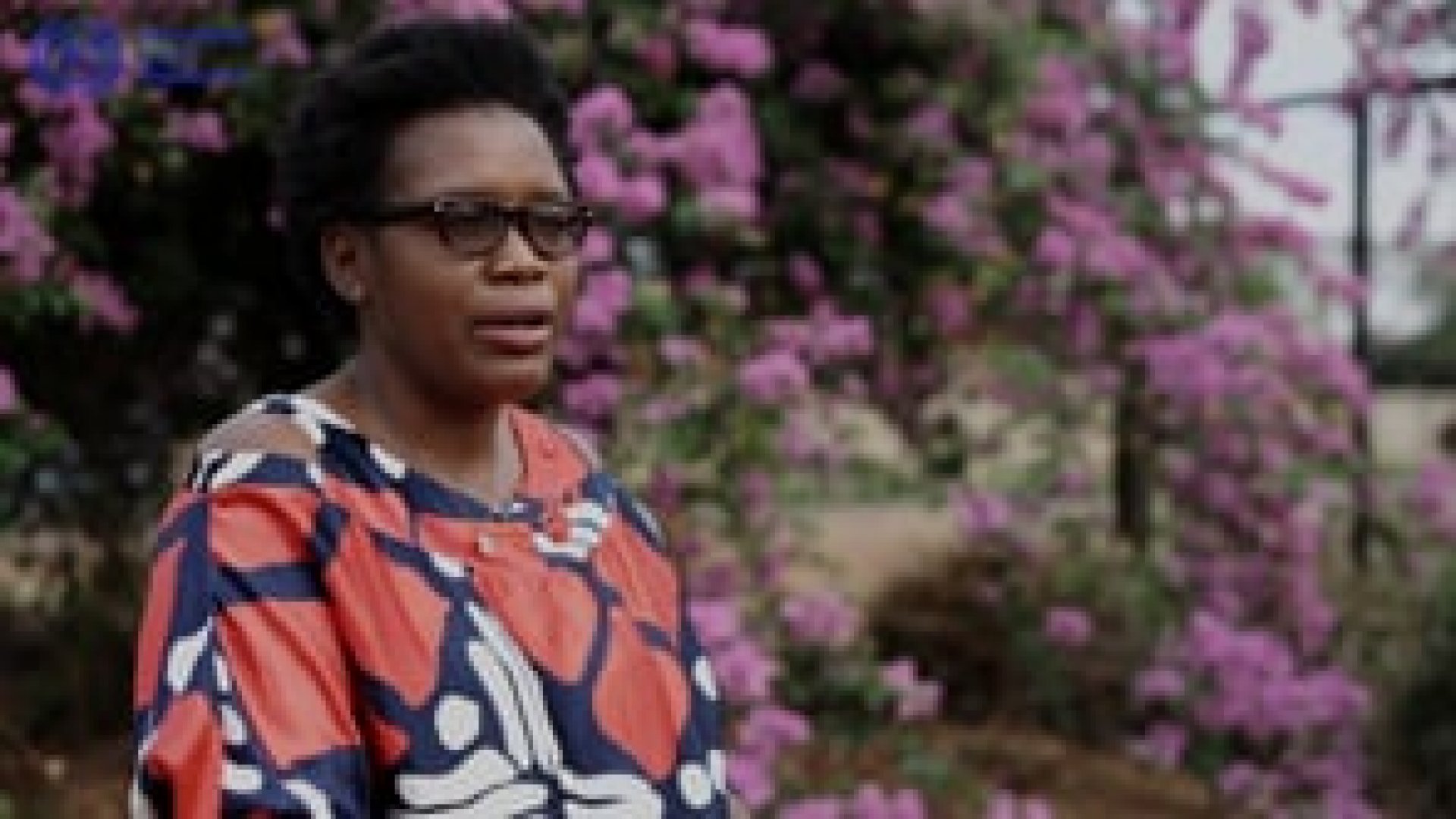 Promoting decent domestic work in Zimbabwe | ITCILO